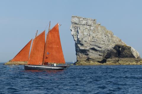 Mirror image by Lee Fisher